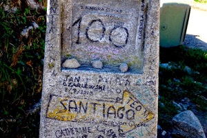 Today we passed a marker indicating we are only 100 kilometers from Santiago! 